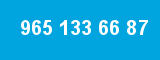 965 133 66 87
